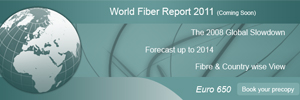 World Fiber Report