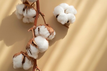 Unlock Programme drives sustainable cotton production