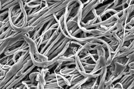 UCL researchers develop eco-friendly nanofibres for biomedical uses