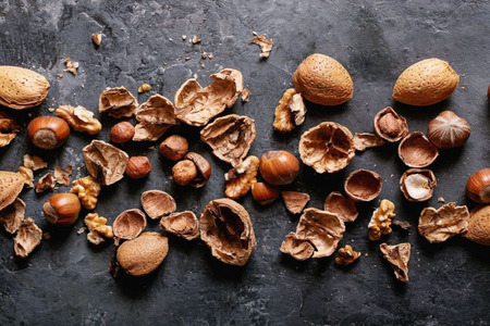 Researchers develop eco-friendly materials from nut shells