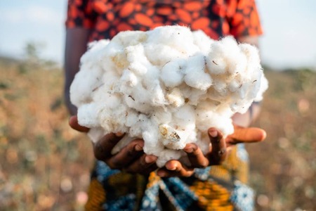 AbTF introduces transparency standard for organic cotton